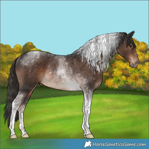 Horse Color:Liver Chestnut Tobiano Rabicano