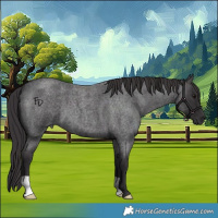 Horse Color:Smoky Blue Roan 