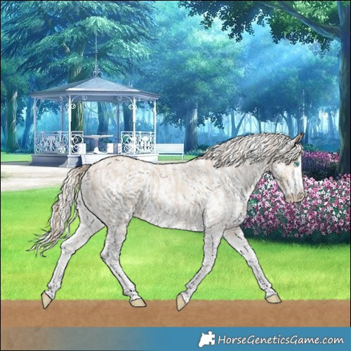 Horse Color:Smoky Creme Sabino  and Cremello Sabino 