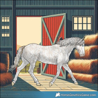 Horse Color:Smoky Creme Sabino  and Cremello Sabino 