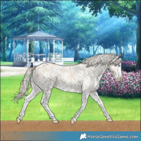 Horse Color:Smoky Creme Sabino  and Cremello Sabino 