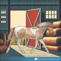 Horse Color:Red Roan Tobiano 