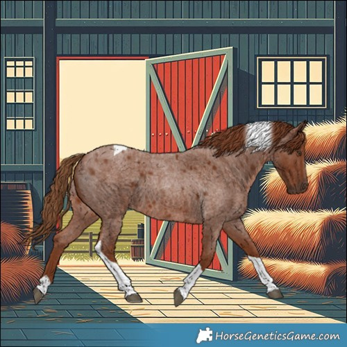 Horse Color:Red Roan Tobiano