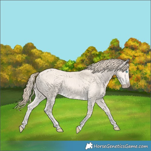 Horse Color:Perlino 