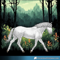 Horse Color:Gray Liver Chestnut 