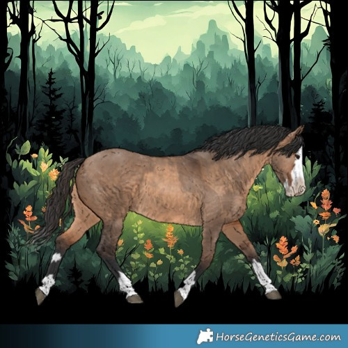 Horse Color:Brown Dun and Brown Dun Splash