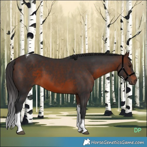 Horse Color:Brown Tobiano