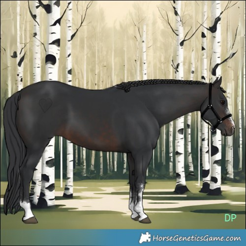 Horse Color:Brown 