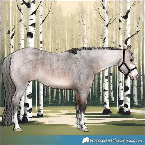 Horse Color:Bay Roan 
