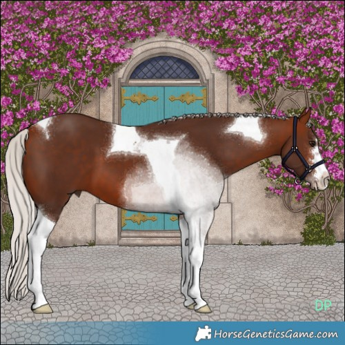 Horse Color:Silver Bay Tobiano