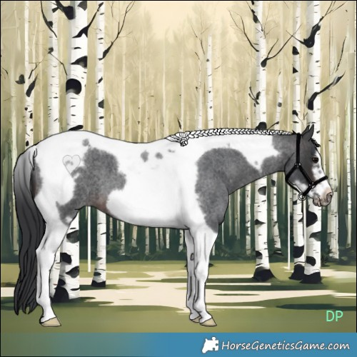 Horse Color:Brown Roan Tobiano Frame 