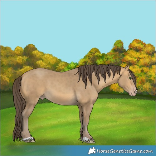 Horse Color:Sable Cream Champagne 
