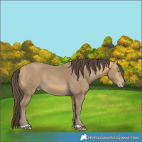Horse Color:Sable Cream Champagne 