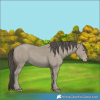 Horse Color:Classic Cream Champagne