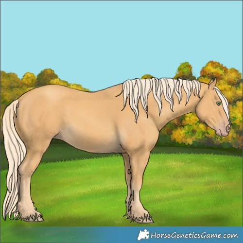Horse Color:Gold Cream Champagne 