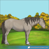 Horse Color:Classic Cream Champagne