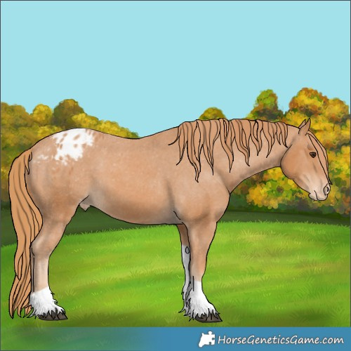 Horse Color:Chestnut Tobiano Varnish