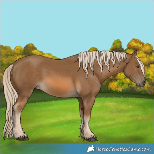Horse Color:Chocolate Palomino 