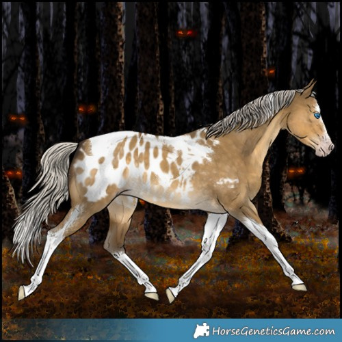 Horse Color:Gray White Spotted Silver Classic Cream Champagne Dun Splash Tobiano Appaloosa Rabicano 