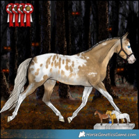 Horse Color:Gray White Spotted Silver Amber Cream Champagne Dun Splash Tobiano Appaloosa Rabicano 