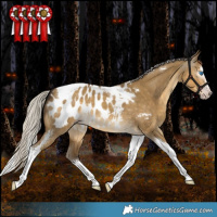 Horse Color:Gray White Spotted Silver Amber Cream Champagne Dun Splash Tobiano Appaloosa Rabicano