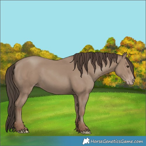 Horse Color:Classic Champagne 