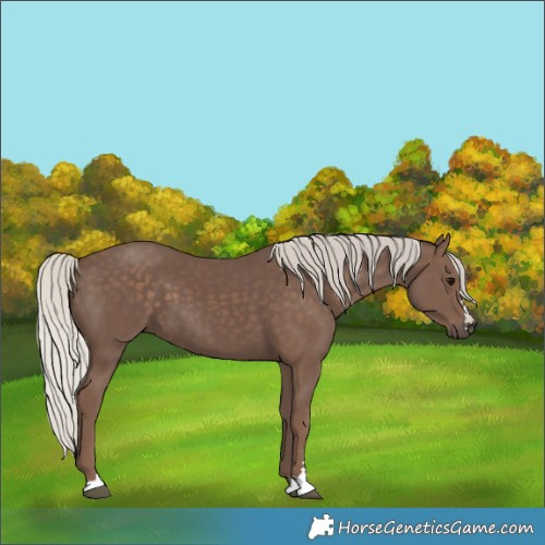 Horse Color:Silver Black 