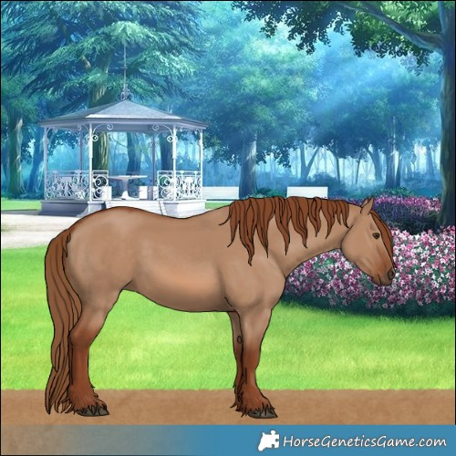 Horse Color:Red Dun 