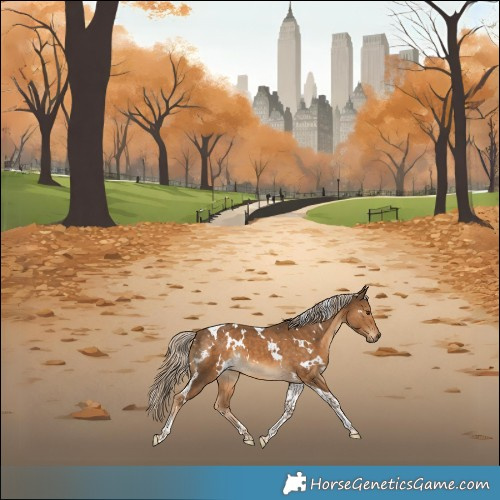 Horse Color:White Spotted Chocolate Palomino Tobiano 