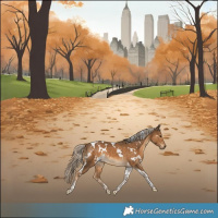 Horse Color:White Spotted Chocolate Palomino Tobiano 