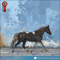 Horse Color:Liver Chestnut Tobiano 