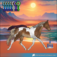 Horse Color:Chocolate Palomino Tobiano 
