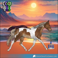 Horse Color:Chocolate Palomino Tobiano 