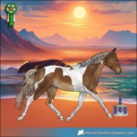 Horse Color:Chocolate Palomino Tobiano