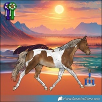 Horse Color:Chocolate Palomino Tobiano 