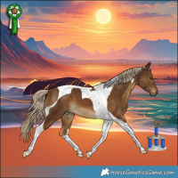 Horse Color:Chocolate Palomino Tobiano