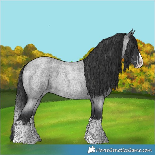 Horse Color:Blue Roan Sabino Splash  and Blue Roan Sabino Splash 