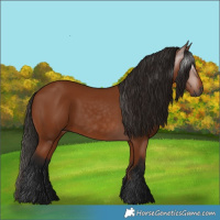 Horse Color:Gray Bay 