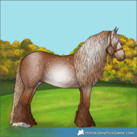 Horse Color:Gray Chestnut 