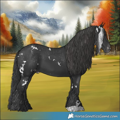 Horse Color:White Spotted Black Appaloosa 