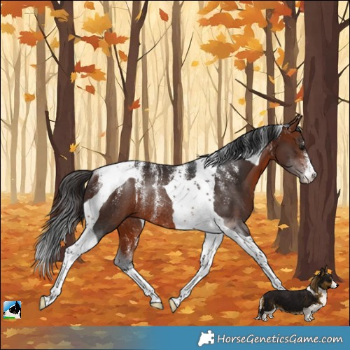 Horse Color:Powder White Bay Mushroom Tobiano Rabicano