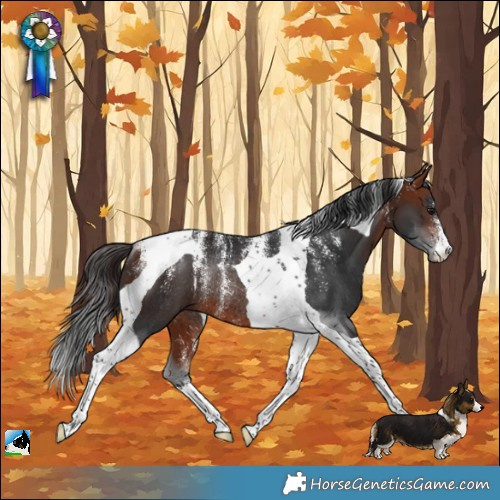 Horse Color:Powder White Bay Mushroom Tobiano Rabicano