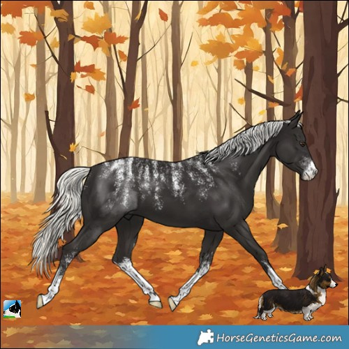 Horse Color:Powder White White Spotted Liver Chestnut Mushroom