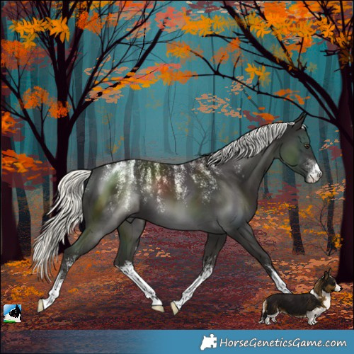 Horse Color:Powder White White Spotted Liver Chestnut Mushroom 