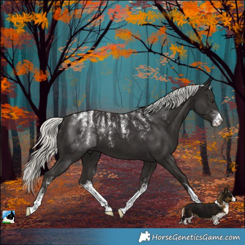 Horse Color:Powder White White Spotted Liver Chestnut Mushroom 