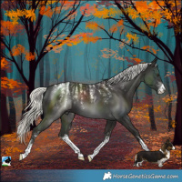 Horse Color:Powder White White Spotted Liver Chestnut Mushroom