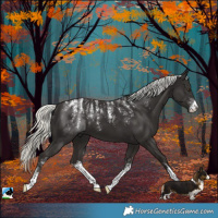 Horse Color:Powder White White Spotted Liver Chestnut Mushroom 