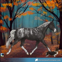 Horse Color:Powder White White Spotted Liver Chestnut Mushroom 