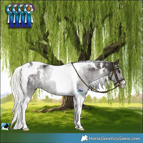 Horse Color:Powder White Liver Chestnut Mushroom Tobiano Rabicano 