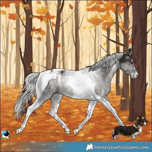 Horse Color:Powder White Liver Chestnut Mushroom Tobiano Rabicano 